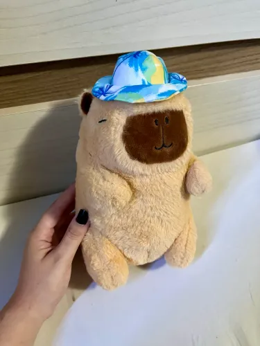 Pelúcia 10 reais 
