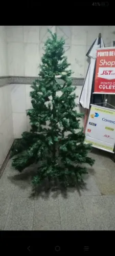 Árvore  natal