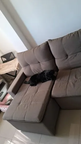 Vendl sofa retratil dois lugares