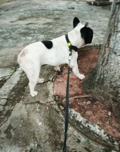 Procura-se Namorada!
