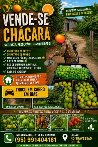 Vendo essa chácara, no travessão do Itã, vicinal de Caracaraí. 
