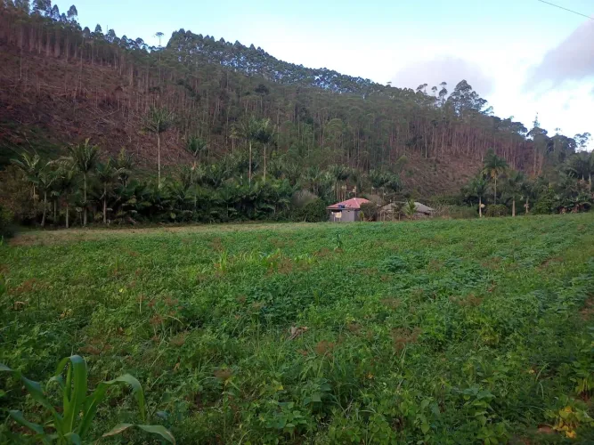 Sítio pedra Azul Jucu 4 Alqueires