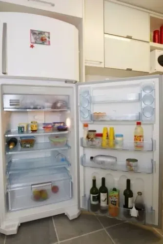 geladeira pra pegar rápido centro floripa * 450$