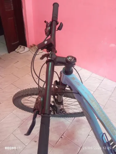 Bike Aro 29