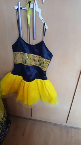 FANTAZIA DA ABELINHA NOVA