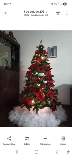 árvore de Natal sem os arranjos