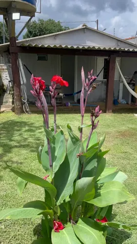 Casa à Venda Chapada dos Guimarães/MT