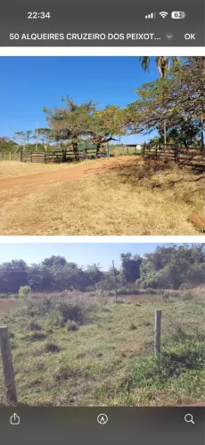 Fazenda em Uberlândia com altitude pra café