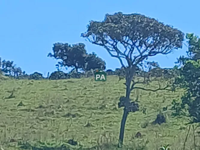 Sítio à venda com 96.800,00 m² , Corrego Romão - Cabo Verde/MG