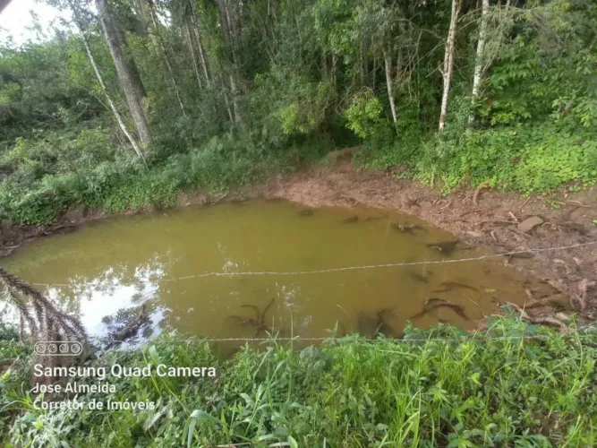Terreno Senador Amaral (Sul de Minas) 48.000m2 c/ 3 nascentes/riacho, lago "Venda Urgente"