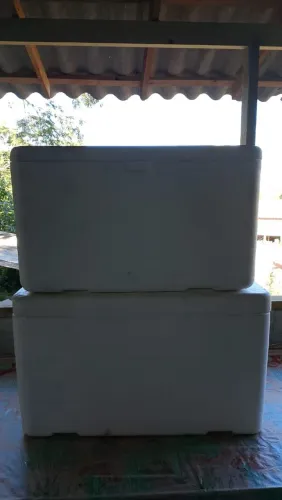 Caixa de isopor 120 litros<br><br>Semi novas,com poucas marcar de uso.<br><br>70,00 cada <br>100,00 as 2