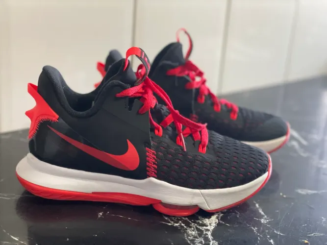 Nike Lebron Witness 5