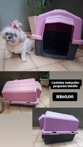 KIT CASINHA + CAIXA DE TRANSPORTE 