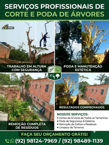 Corte de árvores serviços