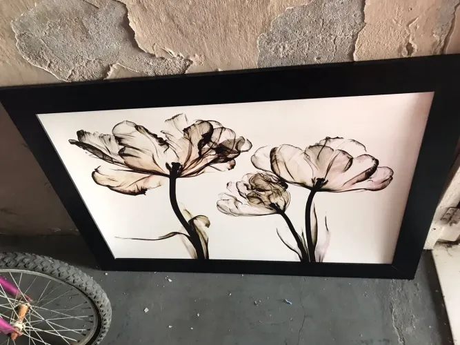 Vendo quadro