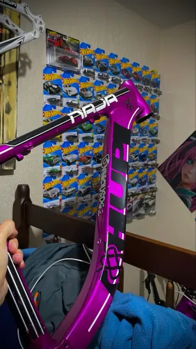 Quadro hupi roxo
