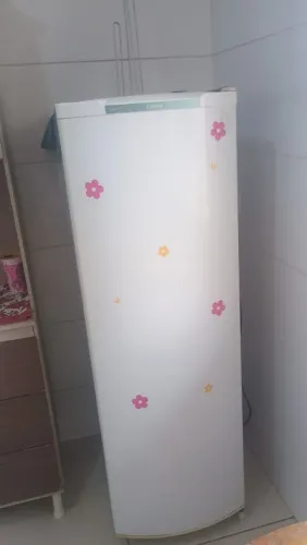 Vendo Geladeira Cônsul 127V Funcionando Perfeitamente<br>** 261 Litros<br>Valor R$490,00