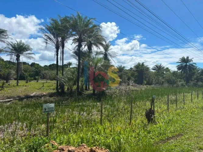 Vendo Lote de 250 m² no Bairro Luzimares, em Ilhéus BA