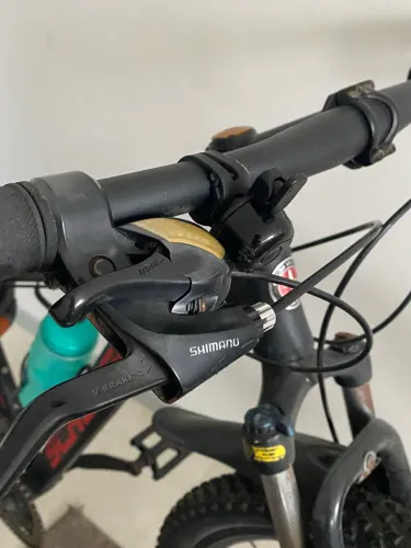 Bike Schwim Aro 29?