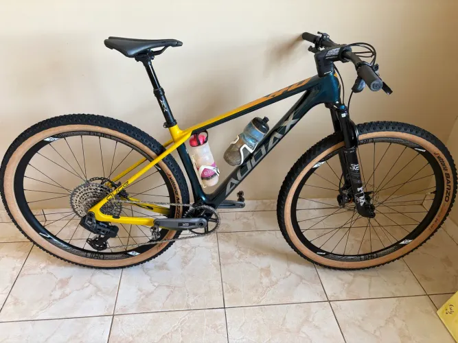 Audax auge 40 2025