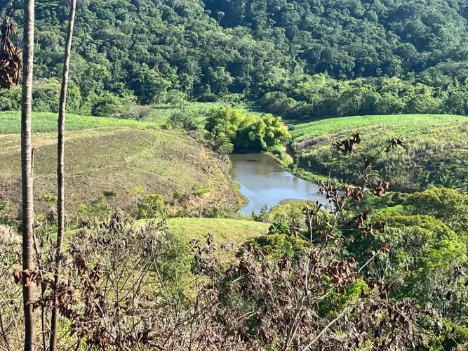 Vendemos uma propriedade plantada em cana-de-açúcar em Ribeirão, 215 hect. R$:12.500 p/hec