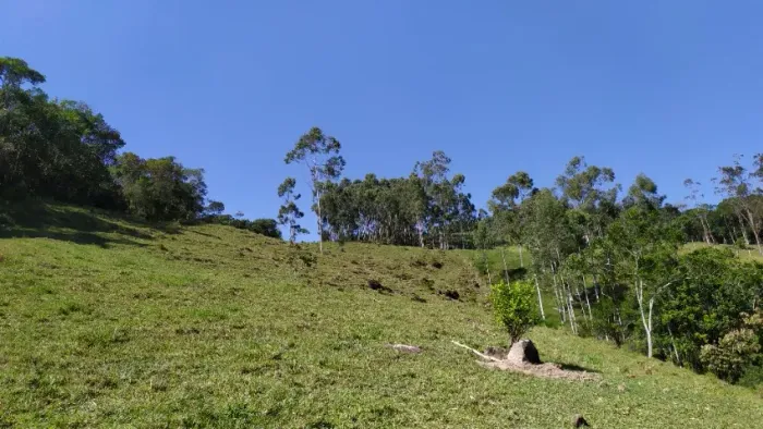 Vendo Sítio / Área Rural em Antônio Carlos (ideal para chalé)