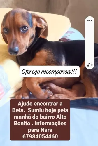 Oferece recompensa!!!