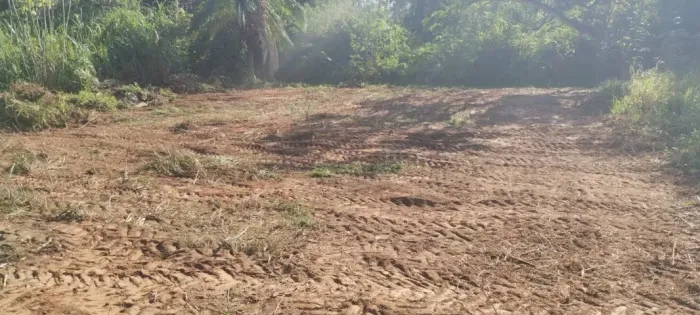 Rancho na rodovia do peixe
