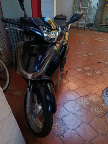 Novinho 