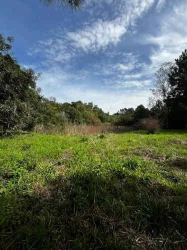 ÁREA à venda com 20445.4m² por R$ 1.500.000,00 no bairro Alphaville Graciosa - PINHAIS / P