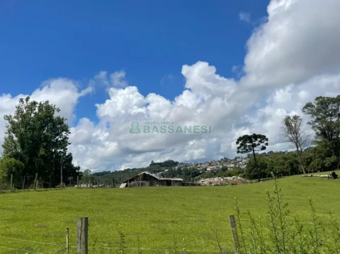 Terreno São Ciro Caxias do Sul