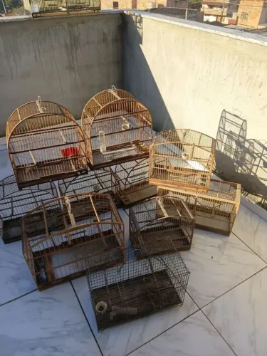 Gaiolas para pássaros