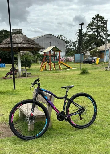 Bicicleta Aro 29