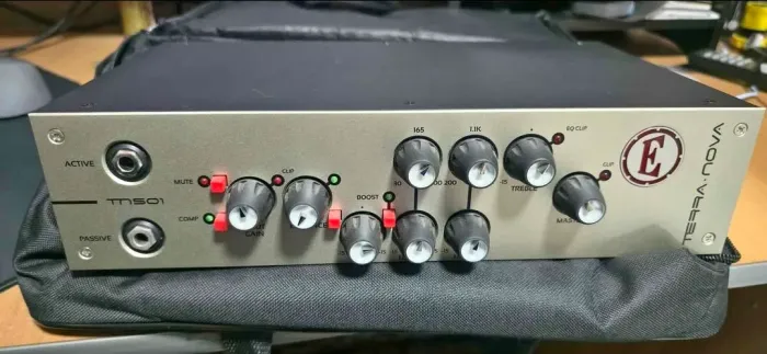Cabeçote Eden Terra Nova TN 500W