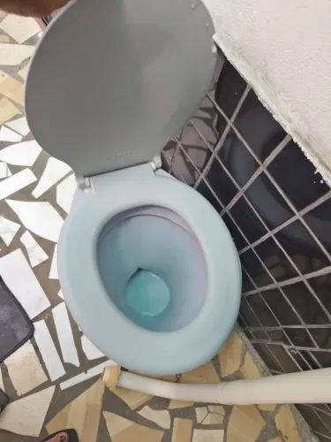 Vaso sanitário e descaraga