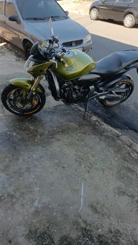 Hornet 2011