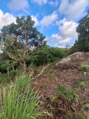 Terreno à venda em Muribeca. 23x60!
