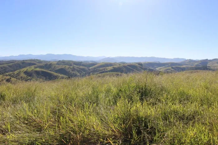 Sítio para Venda em Cunha, Lagoa, 4 dormitórios, 3 banheiros