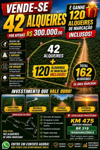 162 alqueires na BR 319