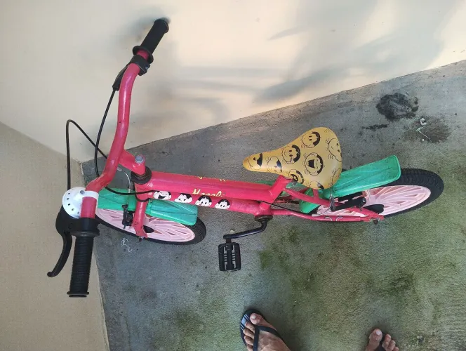 Bicicleta