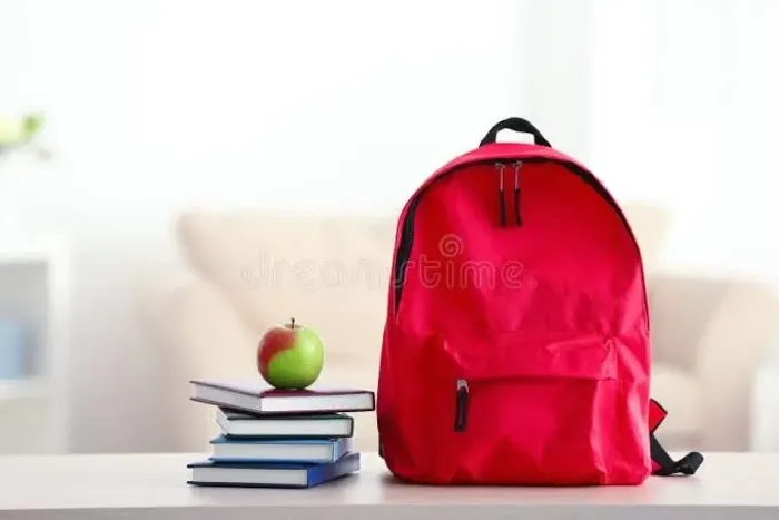 od bolsa mochila  (470)