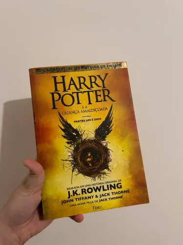 Livro A Criança Amaldiçoada