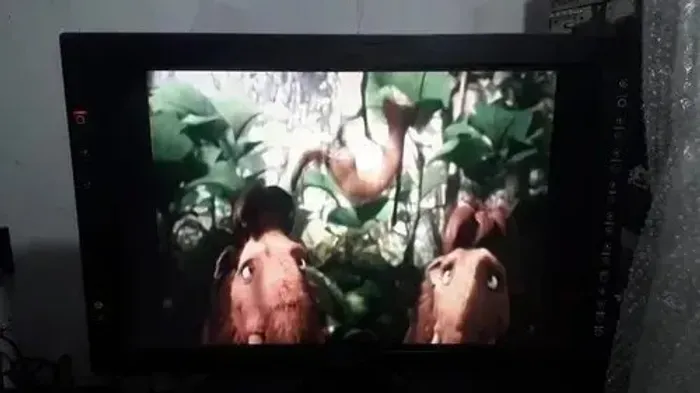 Monitor Sony Lcd Lmd-2450w Digital Hd Sdi