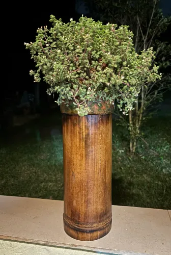 vaso de bambu envernizado 