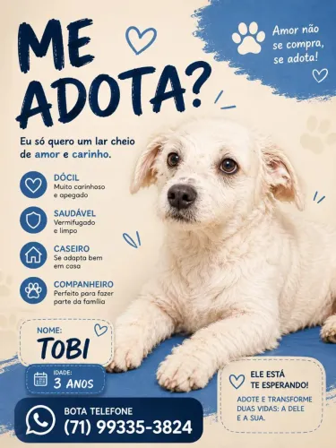 Adoção amorasa e responsável 