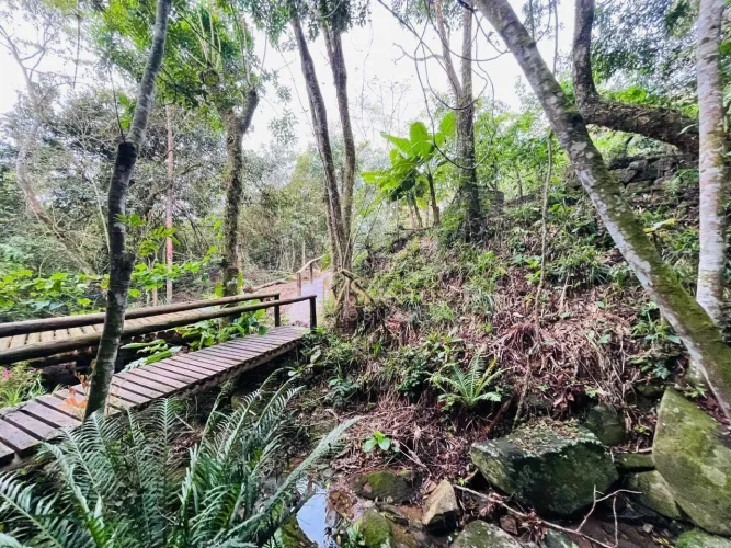 Sítio à venda, 11895 m² por R$ 1.500.000,00 - Vargem Do Bom Jesus - Florianópolis/SC