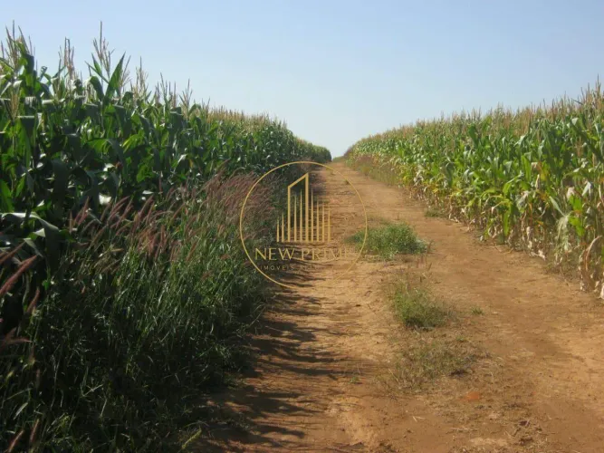 Fazenda à Venda  Unaí/MG  472 ha
