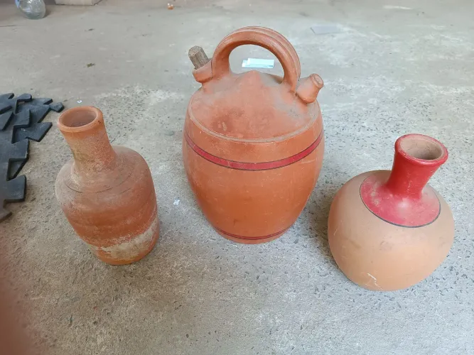 Três Moringas antigas