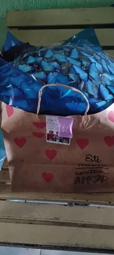 Buquês de borboletas 