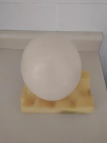 Ovo (casca) para artesanato